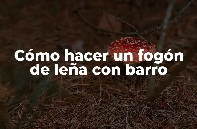 Cómo Hacer un Fogón de Leña con Barro