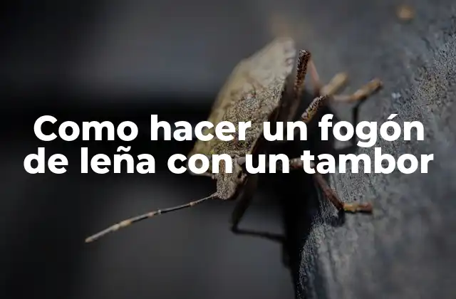 Como Hacer un Fogón de Leña con un Tambor