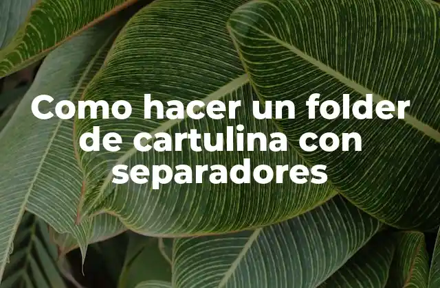 Como Hacer un Folder de Cartulina con Separadores