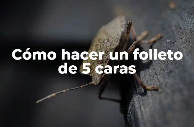 Cómo Hacer un Folleto de 5 Caras