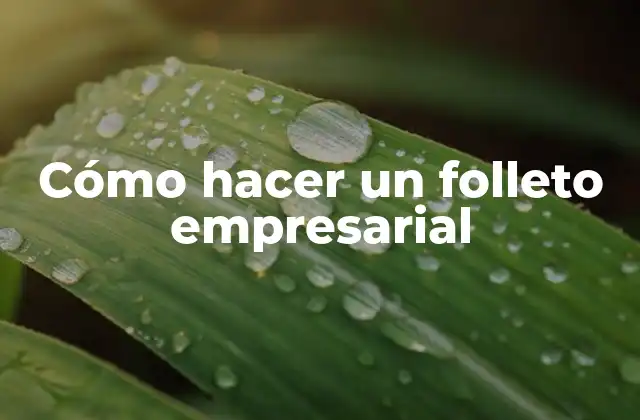 Cómo hacer un folleto empresarial