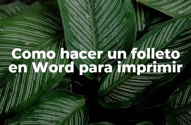 Como Hacer un Folleto en Word para Imprimir
