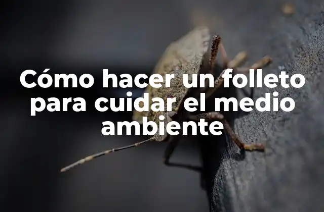 Cómo Hacer un Folleto para Cuidar el Medio Ambiente 2 Cómo hacer un folleto para cuidar el medio ambiente