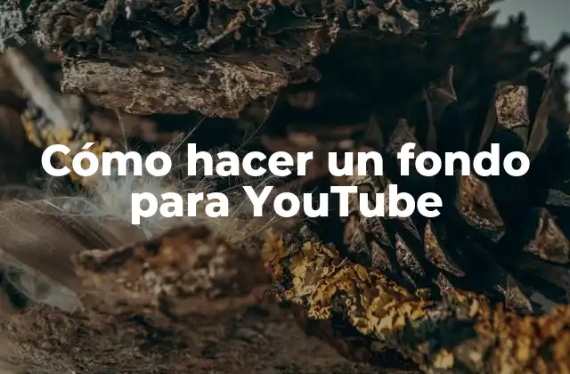Cómo Hacer un Fondo para Youtube