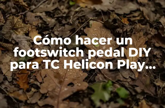 Cómo Hacer un Footswitch Pedal Diy para Tc Helicon Play Electric