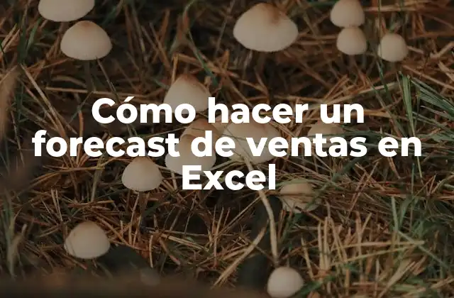 Cómo Hacer un Forecast de Ventas en Excel