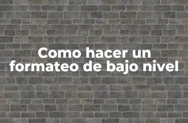 Como Hacer un Formateo de bajo Nivel
