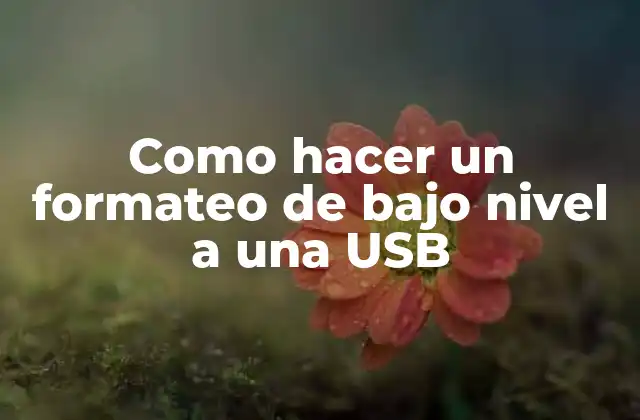 Como Hacer un Formateo de bajo Nivel a una Usb