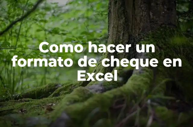 Como Hacer un Formato de Cheque en Excel