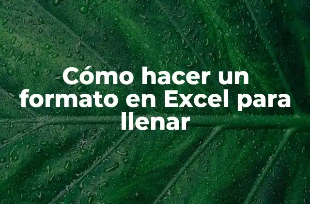 Cómo Hacer un Formato en Excel para Llenar 2 ¿Qué es un formato en Excel para llenar?