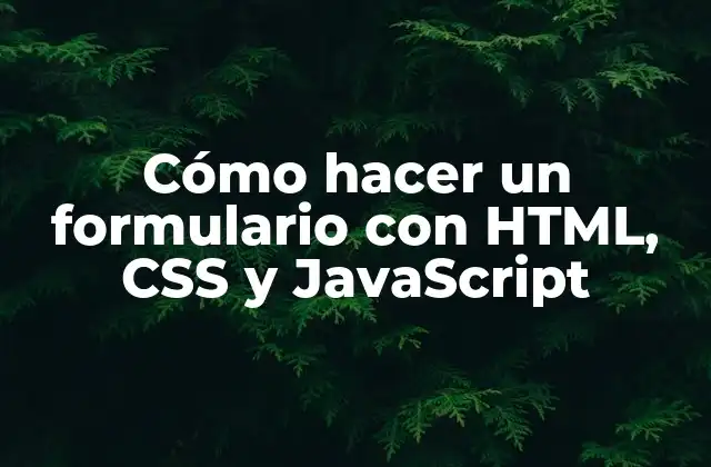 Cómo Hacer un Formulario con Html, Css y Javascript