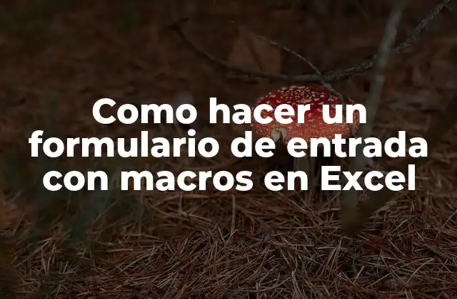 Como Hacer un Formulario de Entrada con Macros en Excel