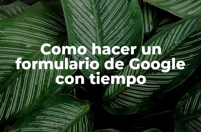¿Qué es un formulario de Google con tiempo?