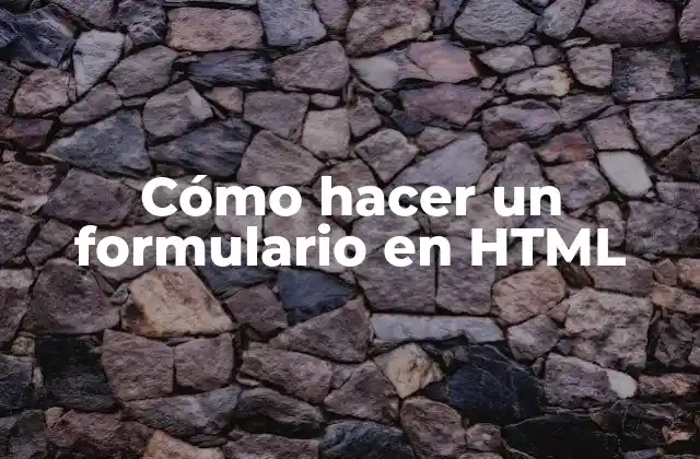 Cómo Hacer un Formulario en Html