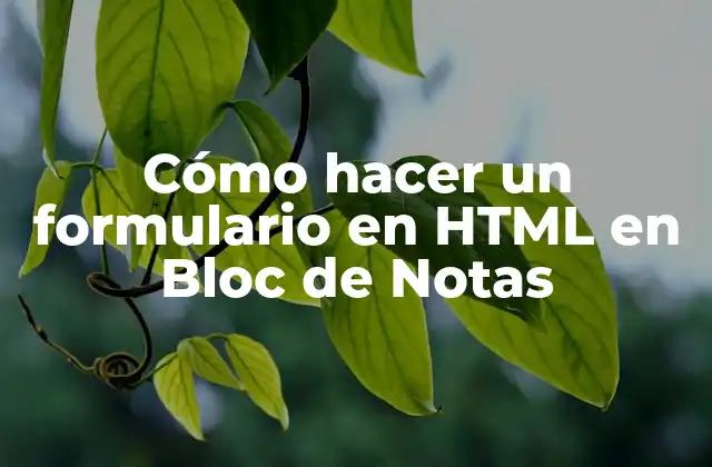Cómo Hacer un Formulario en Html en Bloc de Notas