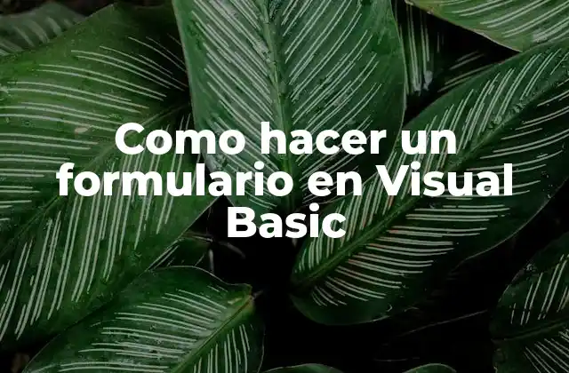 Como Hacer un Formulario en Visual Basic