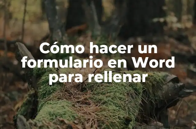 Cómo Hacer un Formulario en Word para Rellenar