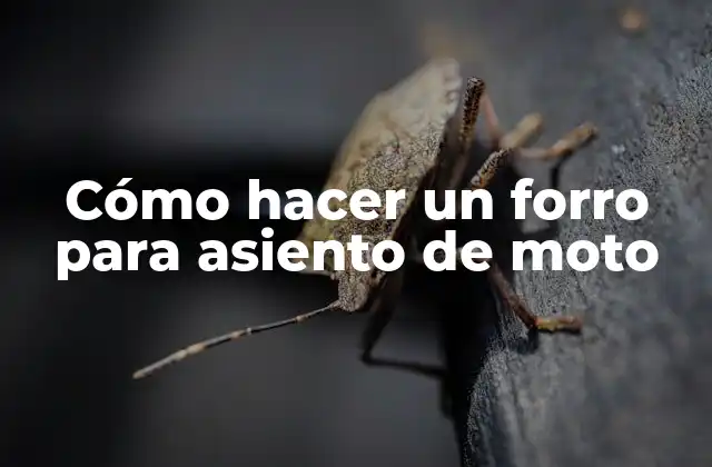 Cómo Hacer un Forro para Asiento de Moto