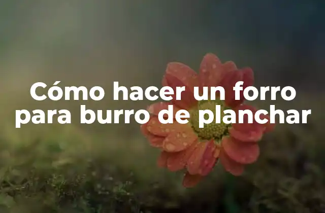 Cómo Hacer un Forro para Burro de Planchar