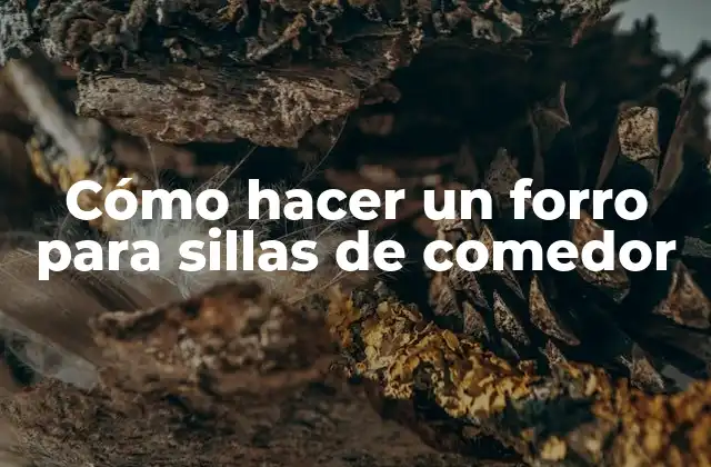 Cómo Hacer un Forro para Sillas de Comedor