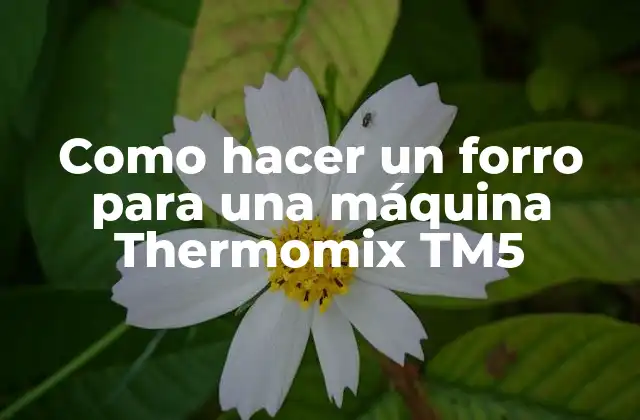 Como Hacer un Forro para una Máquina Thermomix Tm5