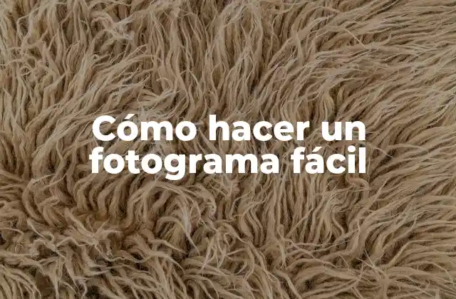 ¿Qué es un fotograma y para qué sirve?