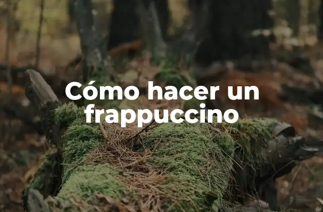Cómo Hacer un Frappuccino