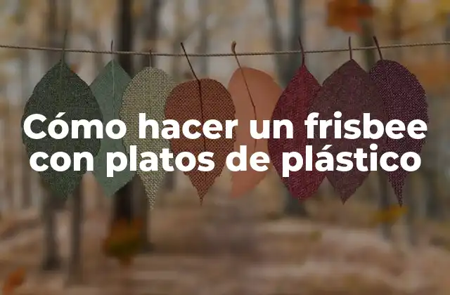 Cómo Hacer un Frisbee con Platos de Plástico