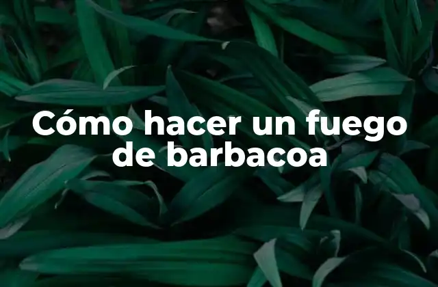 Cómo Hacer un Fuego de Barbacoa