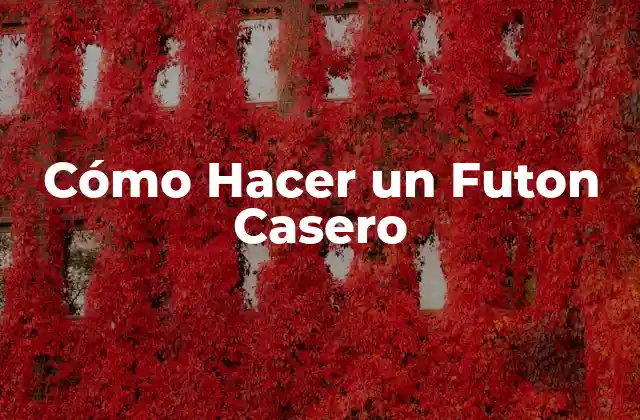 Cómo Hacer un Futon Casero