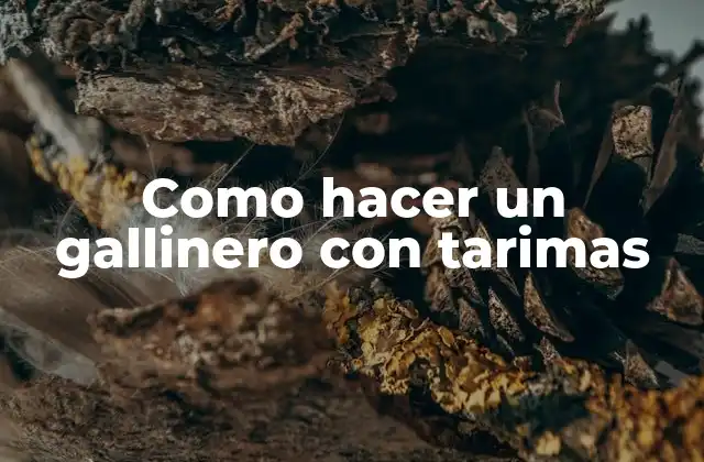 Como Hacer un Gallinero con Tarimas
