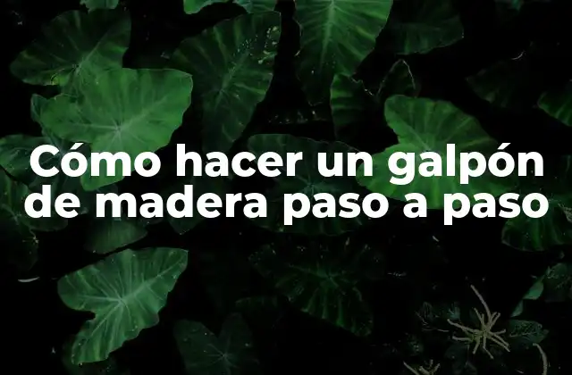 Cómo Hacer un Galpón de Madera Paso a Paso
