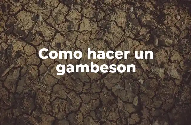 Como Hacer un Gambeson