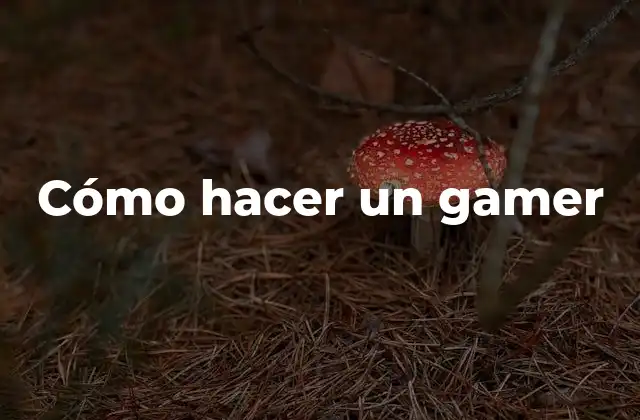 Cómo Hacer un Gamer