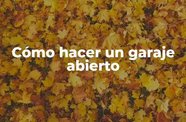 Cómo Hacer un Garaje Abierto