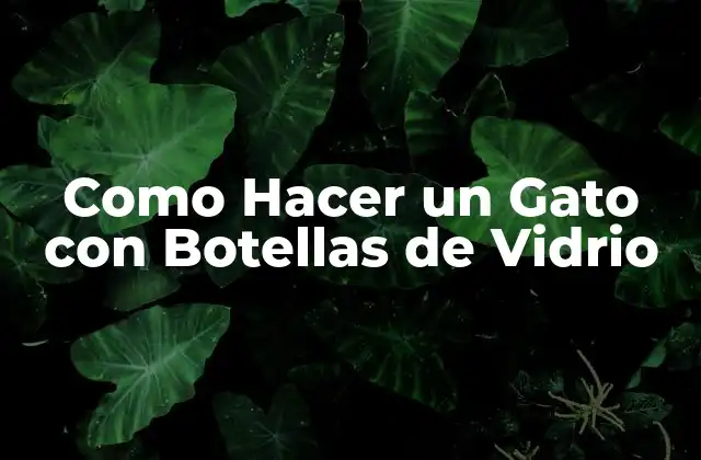 Como Hacer un Gato con Botellas de Vidrio