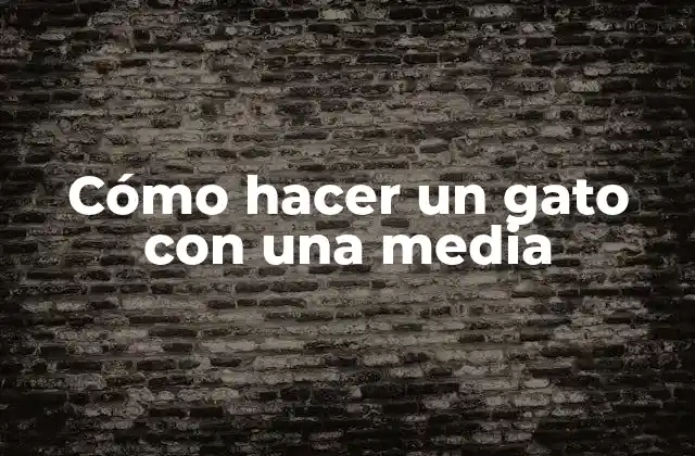 Cómo Hacer un Gato con una Media