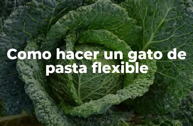 Como Hacer un Gato de Pasta Flexible
