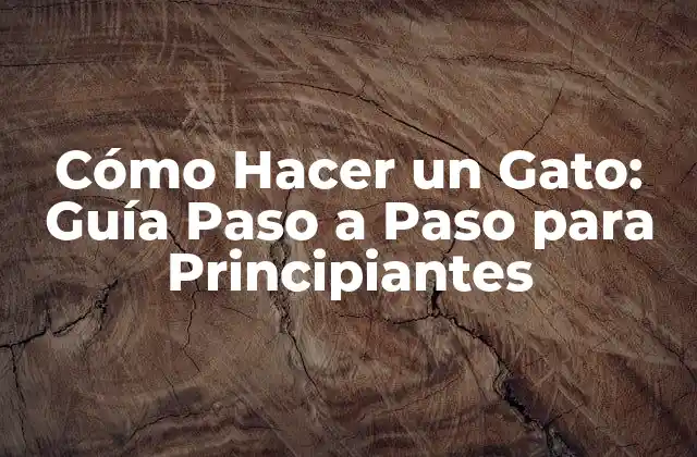 Cómo Hacer un Gato: Guía Paso a Paso para Principiantes