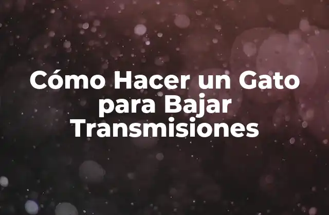 Cómo Hacer un Gato para Bajar Transmisiones: Definición y Funcionalidad