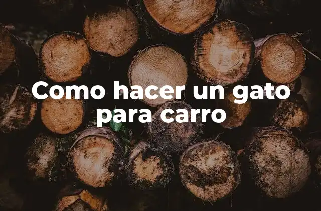Como Hacer un Gato para Carro 2 ¿Qué es un gato para carro y para qué sirve?