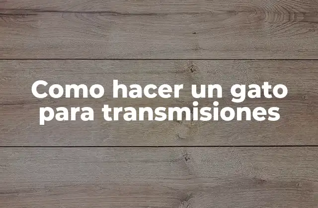 Como Hacer un Gato para Transmisiones