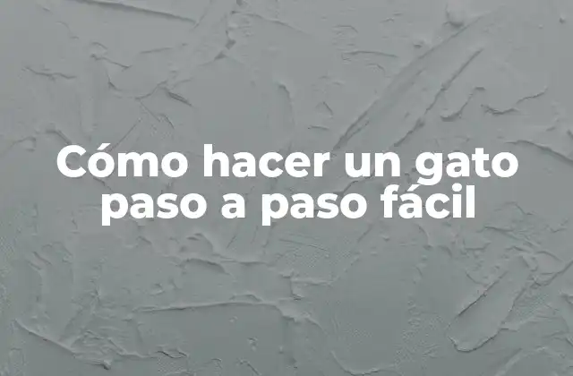 ¿Qué es un gato de costura?