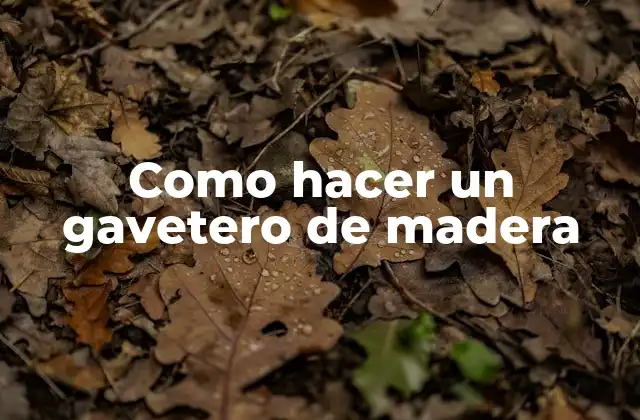 Como Hacer un Gavetero de Madera
