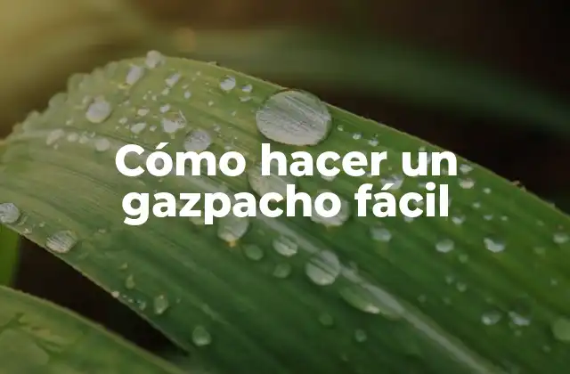Cómo Hacer un Gazpacho Fácil