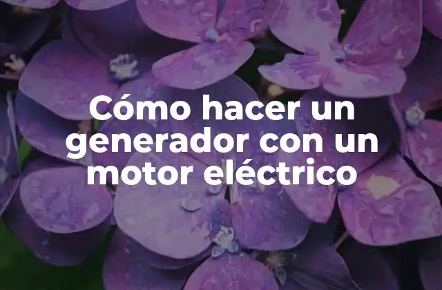 Cómo Hacer un Generador con un Motor Eléctrico