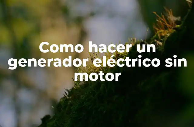 Como Hacer un Generador Eléctrico sin Motor
