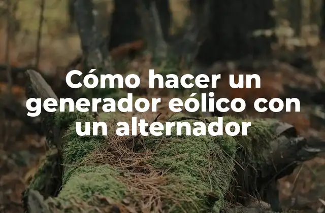 Cómo Hacer un Generador Eólico con un Alternador 2 ¿Qué es un generador eólico con un alternador y para qué sirve?