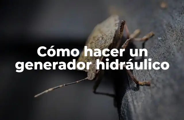 Cómo Hacer un Generador Hidráulico