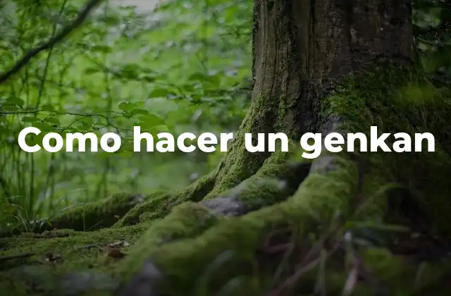 Como Hacer un Genkan 2 ¿Qué es un genkan?